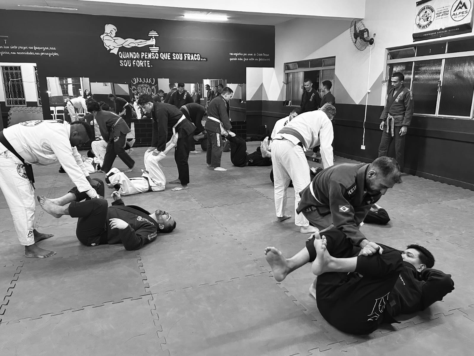 Foto Dojo 6