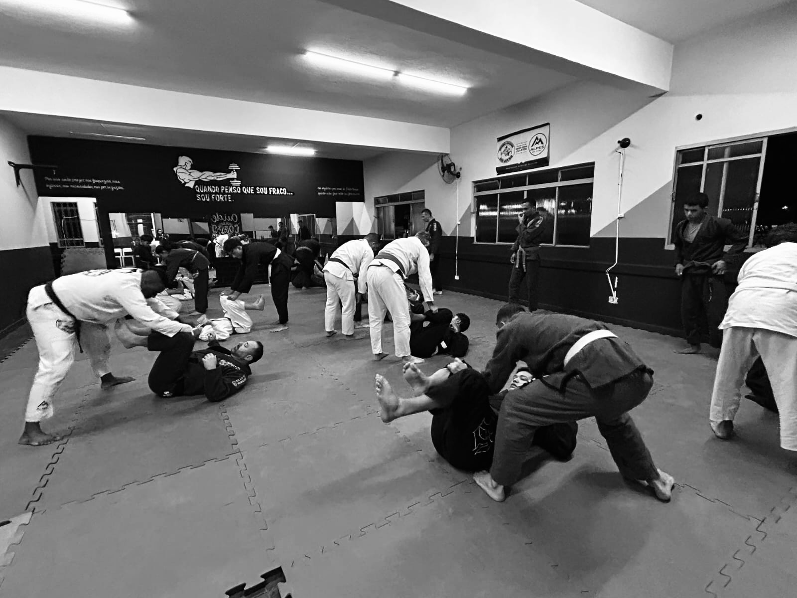 Foto Dojo 7